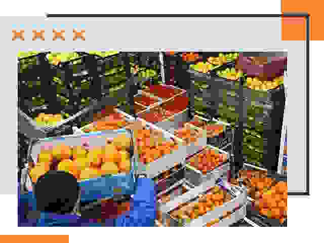 Перевозка скоропортящихся продуктов в Кызыле